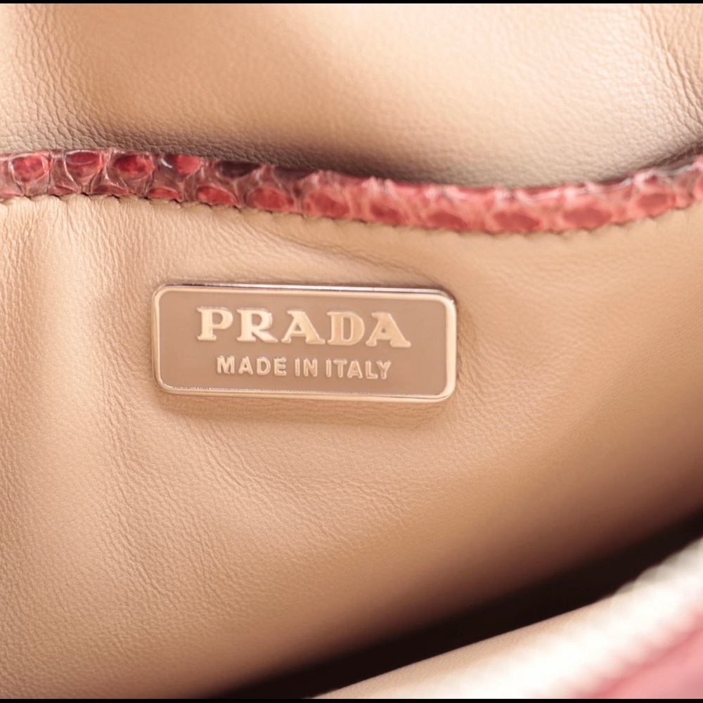 Prada Python Skin Lucidio Crossbody Camera Bag - image 7